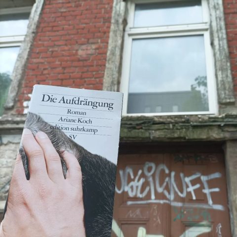 Die Aufdrängung. Roman. Ariane Koch