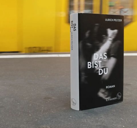 Buch-Cover Das bist du von Ulrich Peltzer