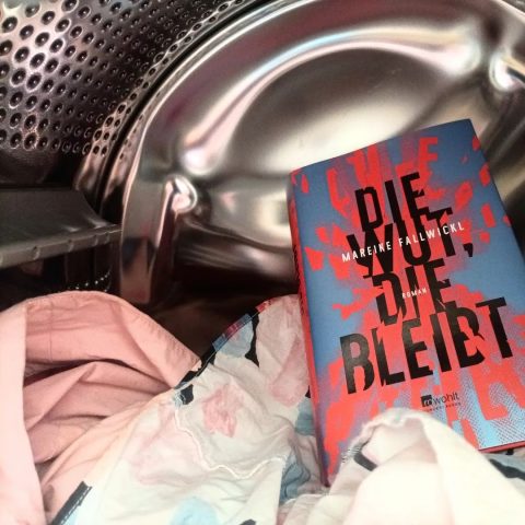 'Die Wut, die bleibt' - Cover